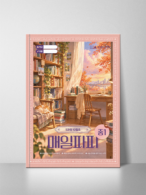 매일파피