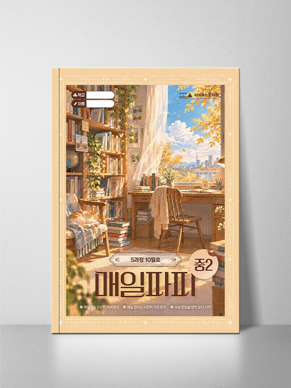 매일파피